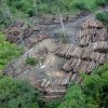 desmatamento-na-amazonia-cresce-e-602-cientistas-europeus-se-manifestam