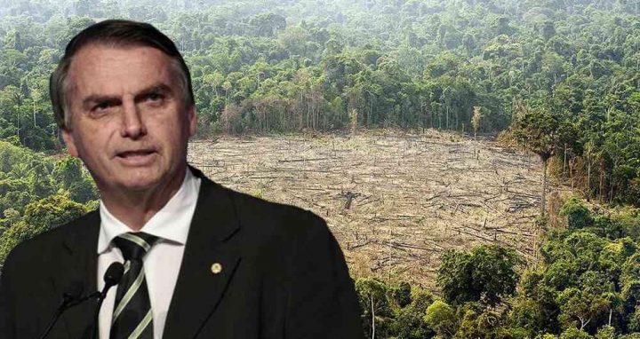 Bolsonaro Amazônia Inpe