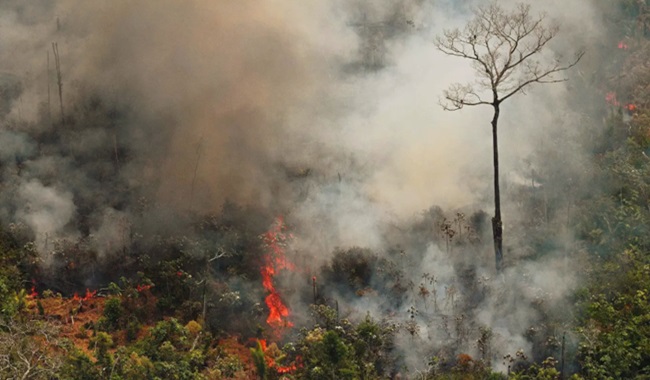 Brasil chamas rua te chama governo bolsonaro meio ambiente manifestações