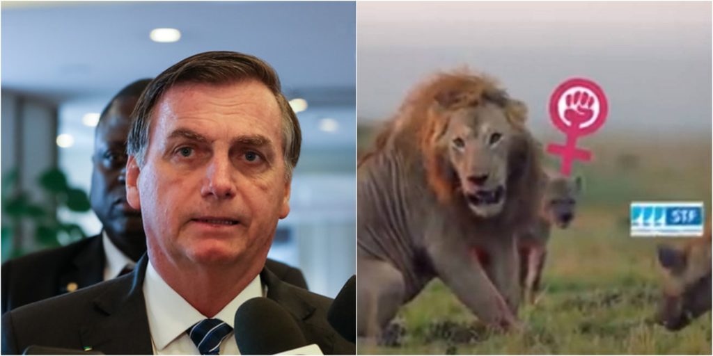 bolsonaro vídeo hienas