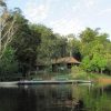 Turista morre após ser atacada por abelhas na Amazônia hotel-de-selva