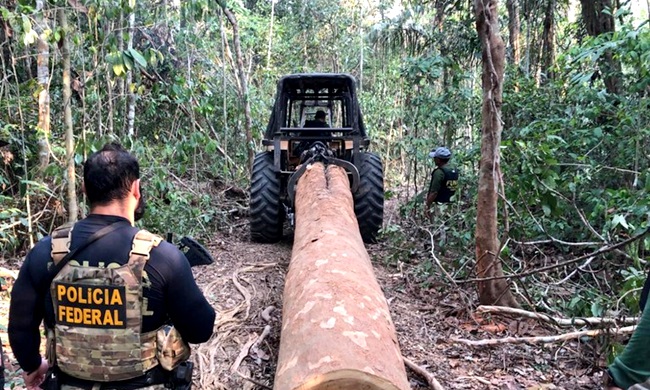 Juiz multa policiais atuaram ação contra desmatamento