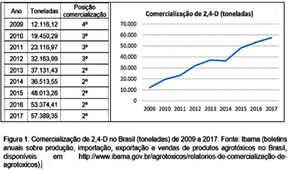 Agrotóxico arroz toxinas acima permitido saúde governo bolsonaro