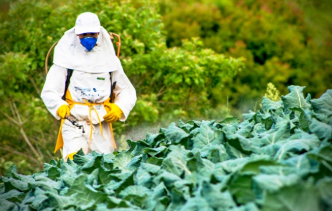 Agrotóxicos aumentar vulnerabilidade Covid relatório imunidade baixa obesidade 