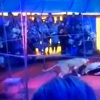 leao-ataca-treinador-durante-apresentacao-de-circo-na-russia