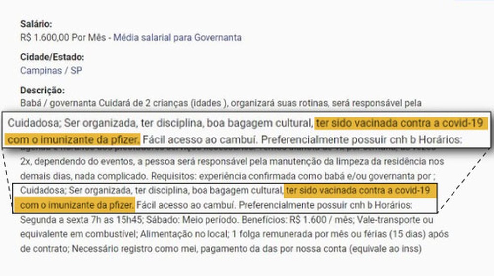 anúncio vacina governanta pfizer