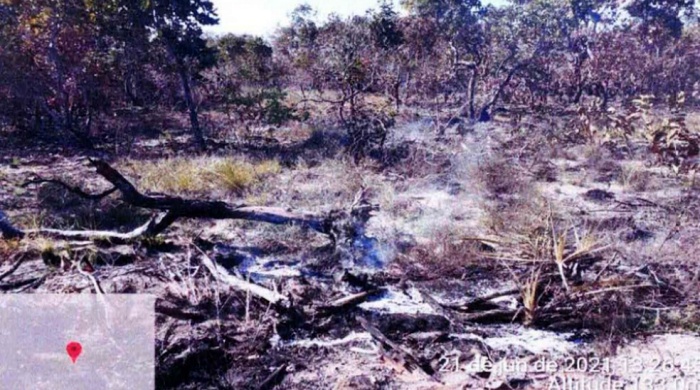 Fazendeiro provocou incêndio no Pantanal multado milhões