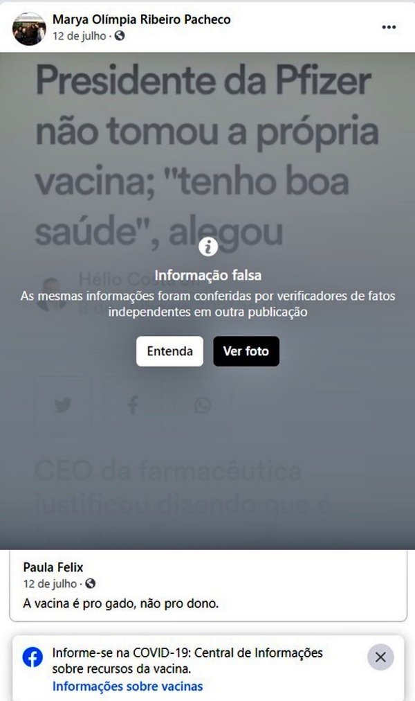 Promotora Marya Olímpia Ribeiro Pacheco publicou mensagens nazistas antivacina investigada CNMP