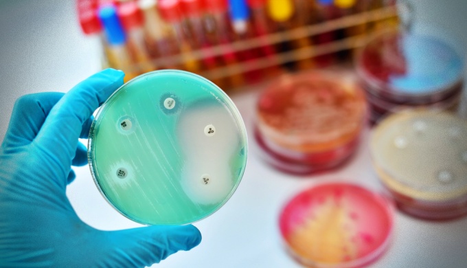 avanço superbactérias cientistas descrevem seria mundo sem antibióticos