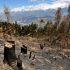Deforestation is seen in a village in Carhuaz  in the Andean region of Ancash