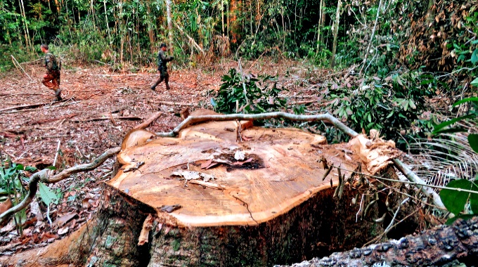 Desmatamento Amazônia maior últimos dez anos Imazon
