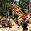 BNDES empresta R$ 29 milhões para desmatadores da Amazônia bndes-empresta-milhoes-desmatadores-amazonia