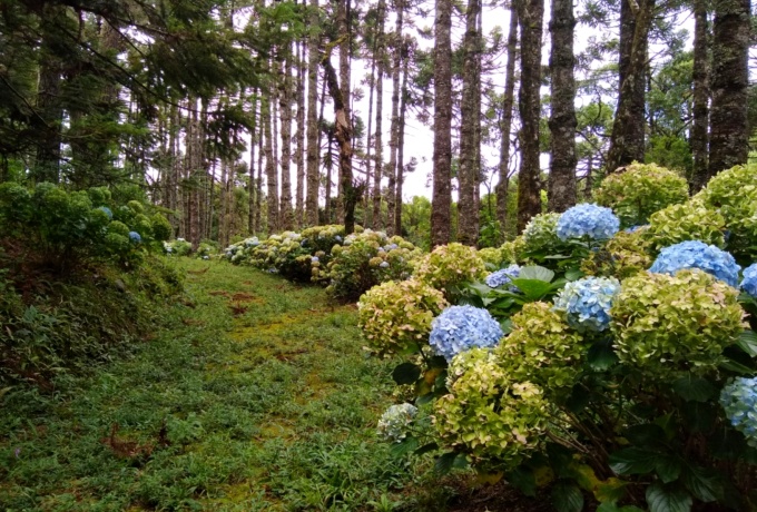 Cidade Minas Gerais eleita mais acolhedora mundo