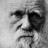 Cadernos de Darwin avaliados em milhões reaparecem 22 anos após sumiço cadernos-darwin-avaliados-milhoes-reaparecem-anos-sumico