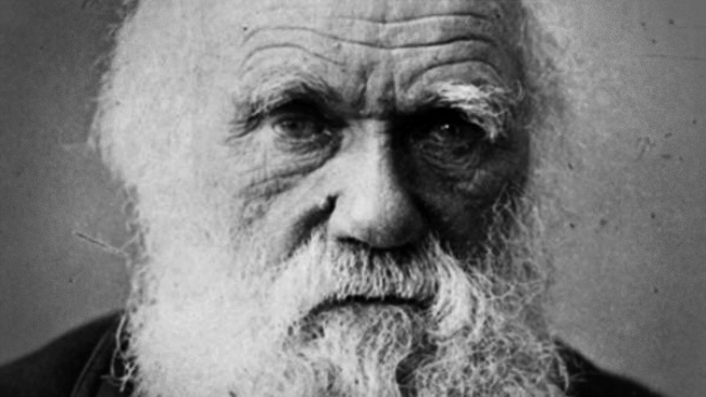 Cadernos Darwin avaliados milhões reaparecem anos sumiço