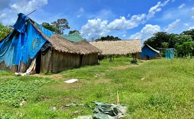 Menina ianomâmi anos morre estuprada garimpeiros