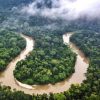 'Precisamos da Amazônia para evitar ecocídio climático do planeta' precisamos-amazonia-evitar-ecocidio-climatico-planeta