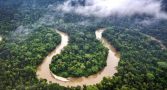 precisamos-amazonia-evitar-ecocidio-climatico-planeta