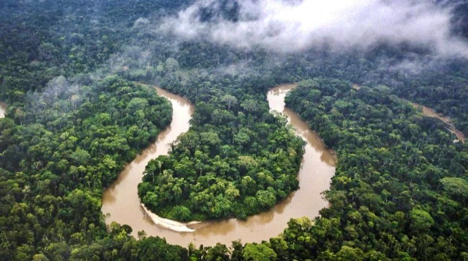 Precisamos Amazônia evitar ecocídio climático planeta