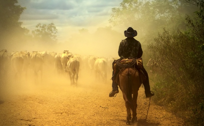 Boiadeiro pró-Lula boicotado fazendeiros cortamos sustento 