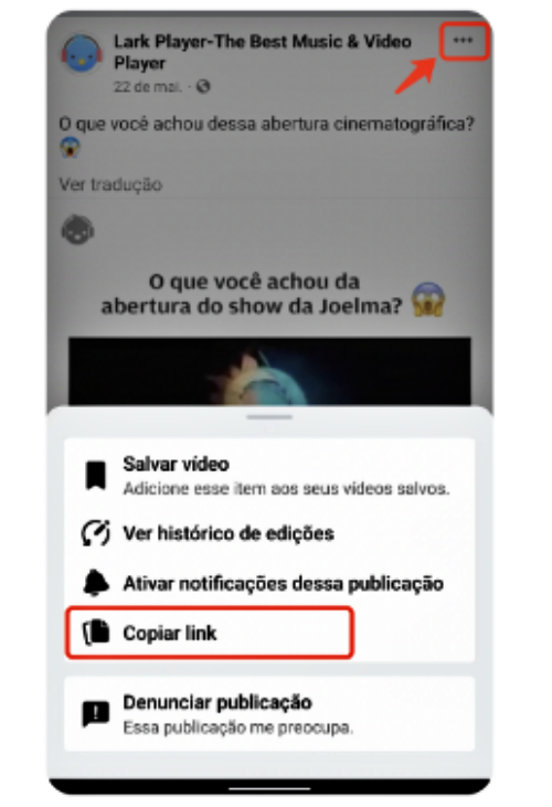 Como converter vídeos  Facebook Experimente FBVideoDown