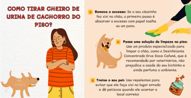 Como escolher produtos limpeza pets recomendações cuidados