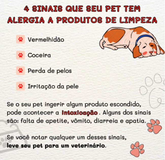 Como escolher produtos limpeza pets recomendações cuidados