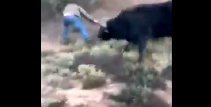 VÍDEO caçador atira búfalo morre tomar chifrada