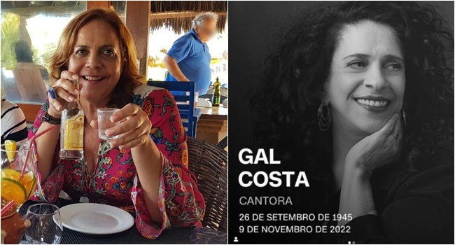 ana luiza mendonça gal costa