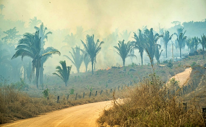 Cidade recordista queimadas Pará naturalizou destruição bolsonarismo