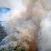 cidade-recordista-queimadas-para-naturalizou-destruicao-bolsonarismo1