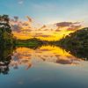 floresta-amazonica