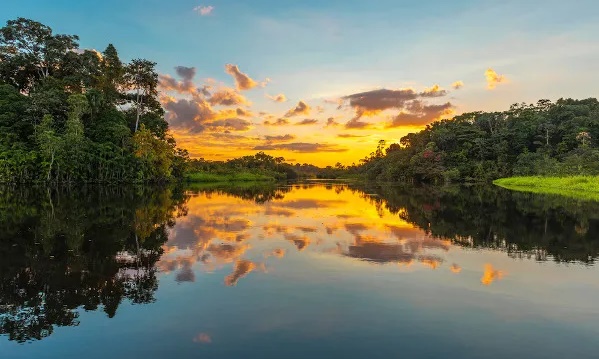 floresta amazônica