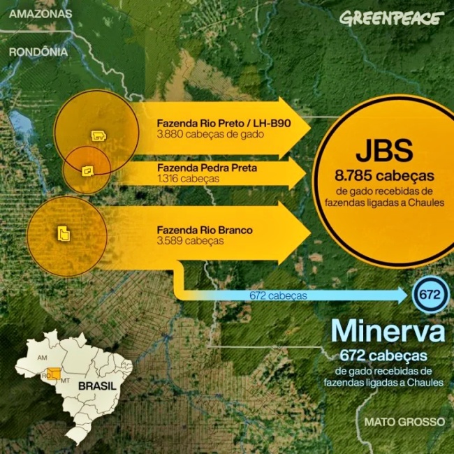 JBS admite comprado mil bois ilegais maior desmatador Brasil