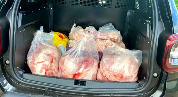 Restaurantes Goiás compravam abatedouro misturava carne cavalo porco