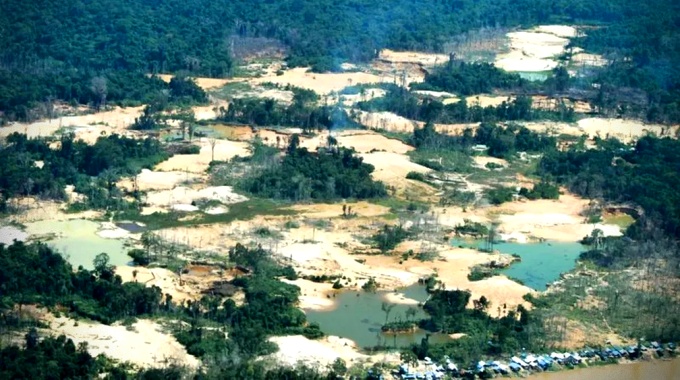 Garimpo ilegal terra indígena Yanomami cresceu governo bolsonaro