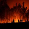 incendios-florestais-chile-fizeram-mais-mil-vitimas