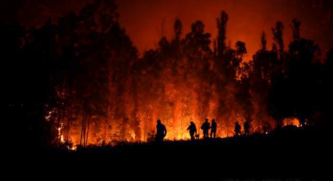 Incêndios florestais Chile fizeram mais mil vítimas