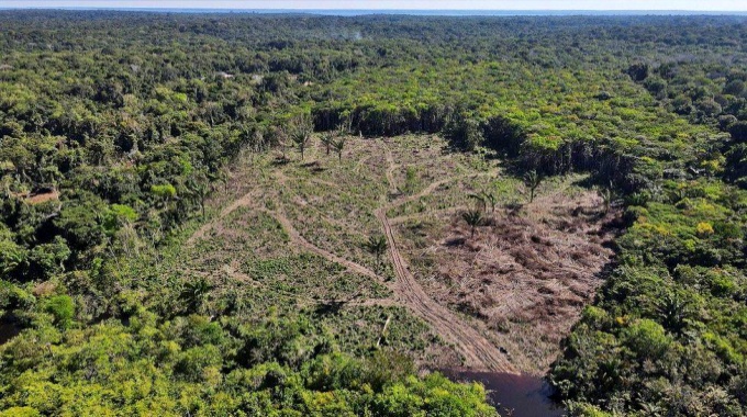 Desmatamento Amazônia cai abril primeira grande queda governo Lula