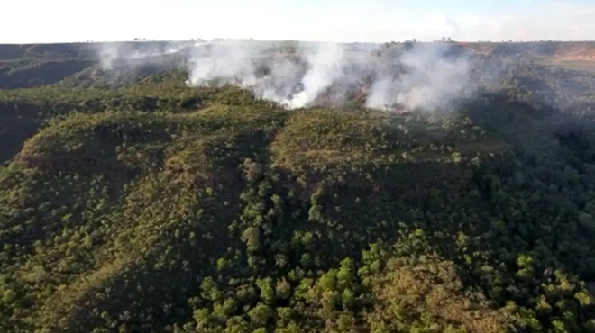 Incêndio atinge divisa Santuário Elefantes Mato Grosso