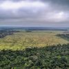 desmatamento-amazonia-cai-janeiro-deste-ano