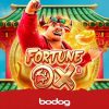 fortune-ox-top-casas-aposta-para-jogadores