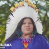 ministra-diz-indigenas-preservam-biodiversidade-planeta