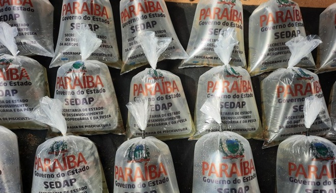 Paraíba fortalece piscicultura entrega mil alevinos seis cidades