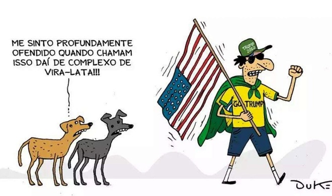 Vira-latas política direita 