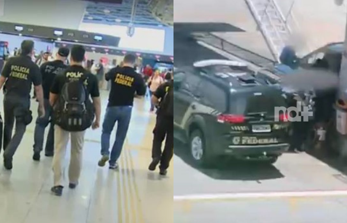 adolescentes cão orelha