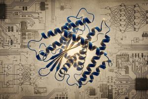 Imagem: Arquivo do Portal Fio do Tempo