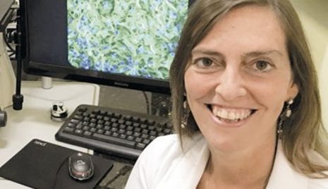 Cientista da UFRJ lidera pesquisa que fez seis tetraplégicos voltarem a andar e avança para testes clínicos cientista-ufrj-lidera-pesquisa-tetraplegicos-voltarem-andar-avanca-testes-clinicos