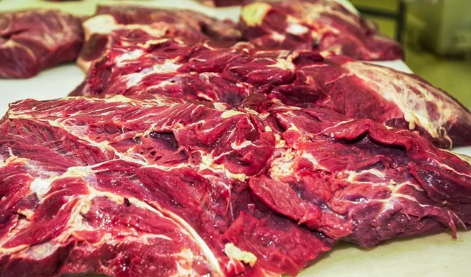 União Europeia veta carne decisão prejuízo bilhões ano agronegócio